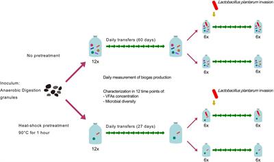 Levels of microbial diversity affect the stability and function of dark fermentation bioreactors